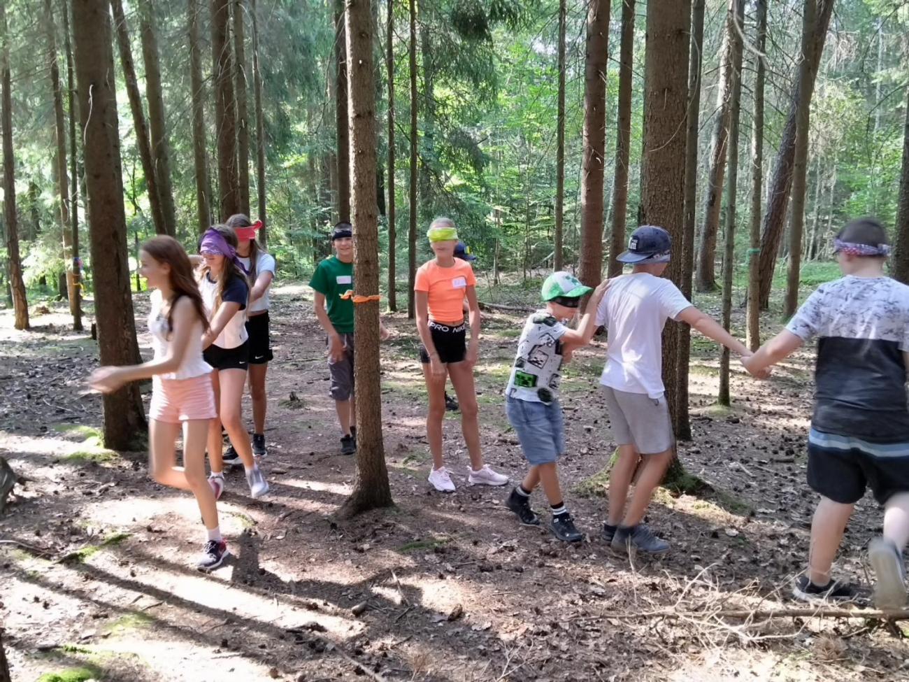 Poznávání a pravidla, 6. ročník