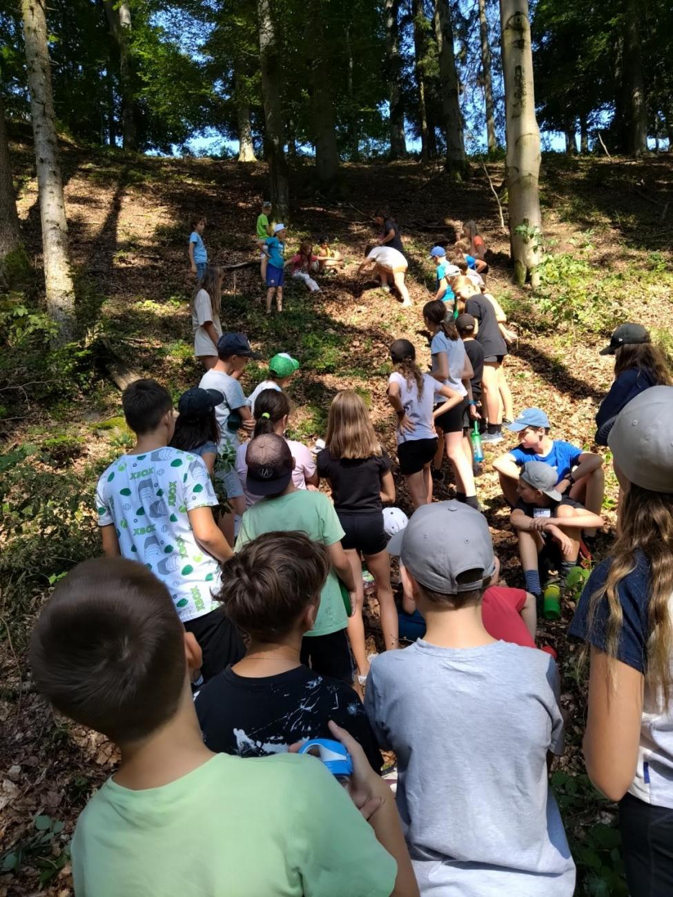 Poznávání a pravidla, 6. ročník