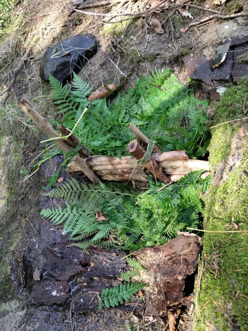 Poznávání a pravidla, 6. ročník