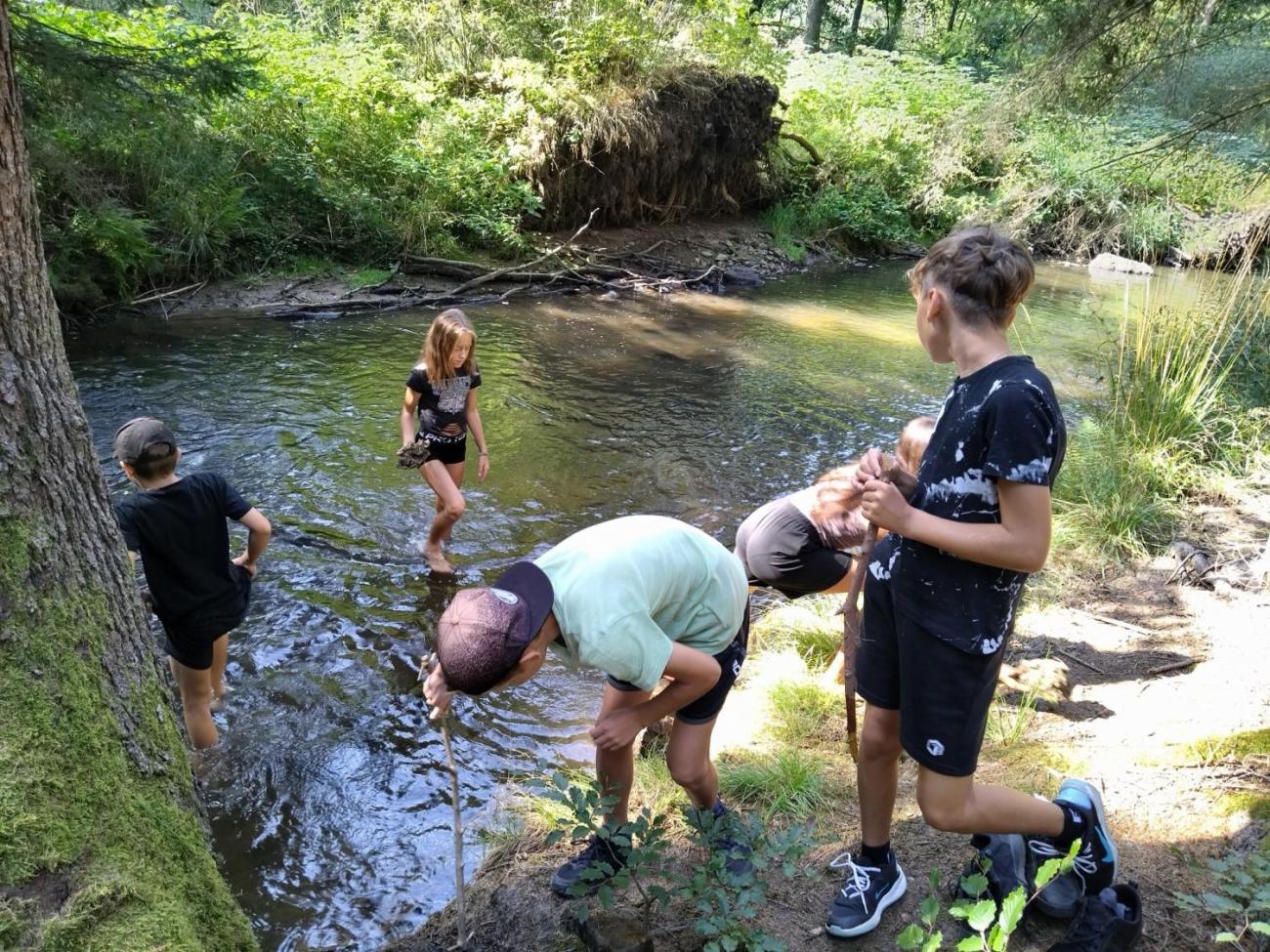 Poznávání a pravidla, 6. ročník