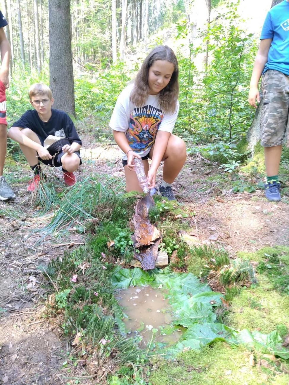 Poznávání a pravidla, 6. ročník