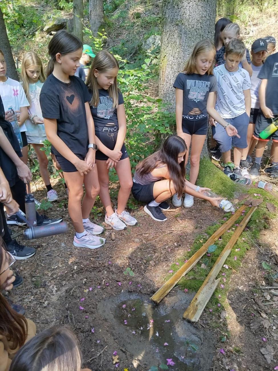 Poznávání a pravidla, 6. ročník