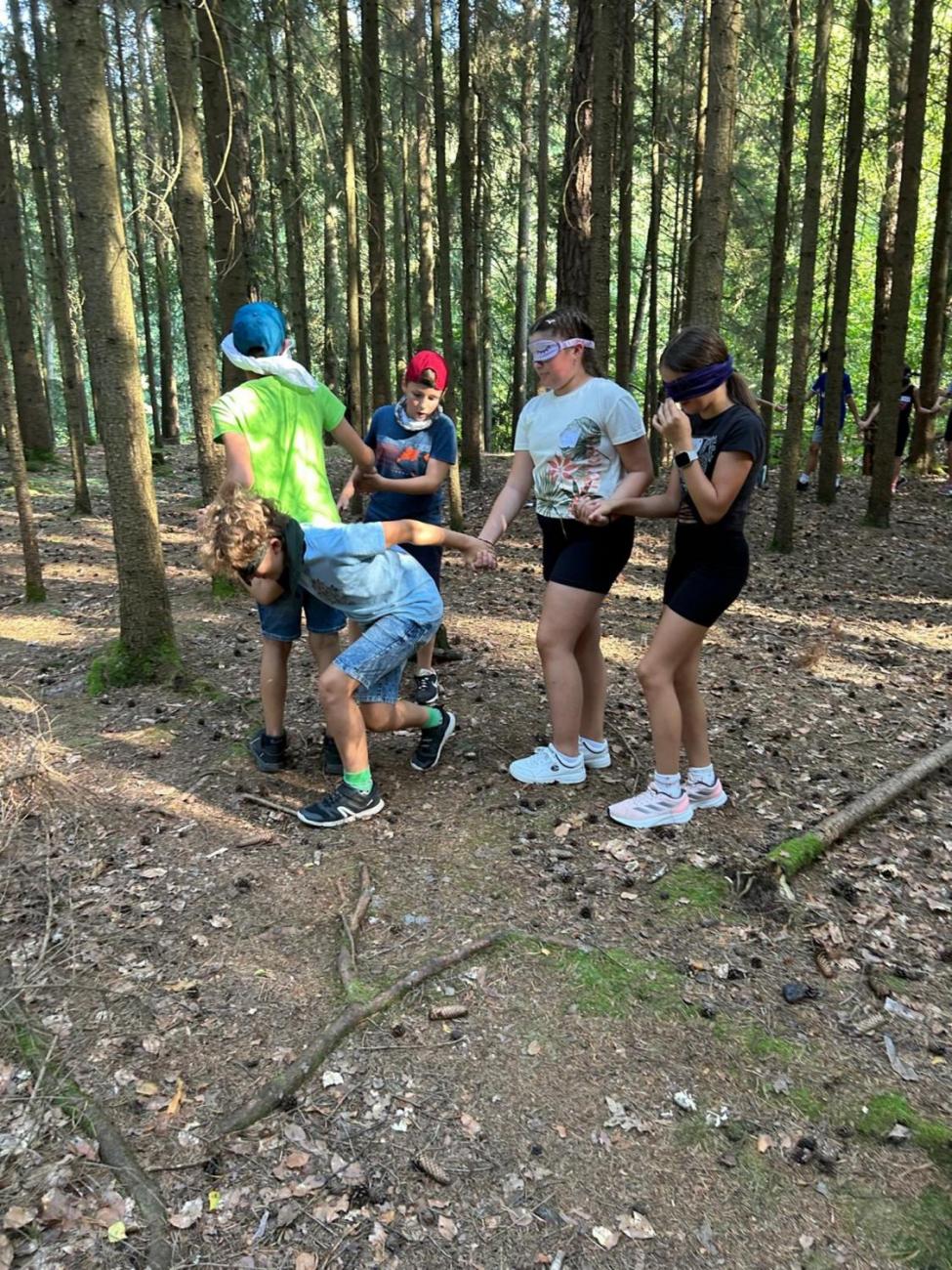 Poznávání a pravidla, 6. ročník