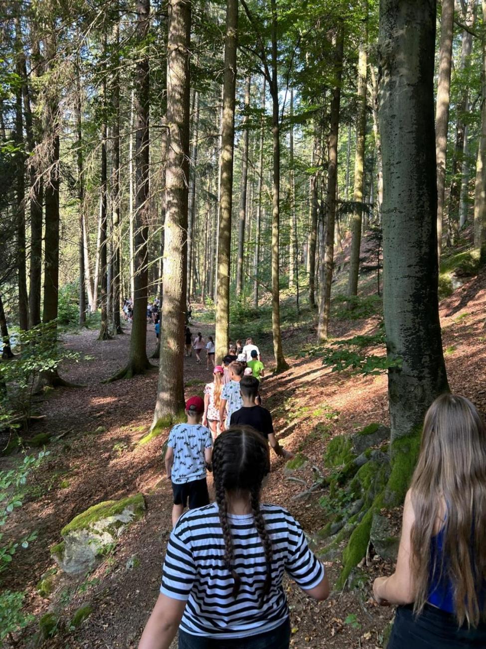 Poznávání a pravidla, 6. ročník