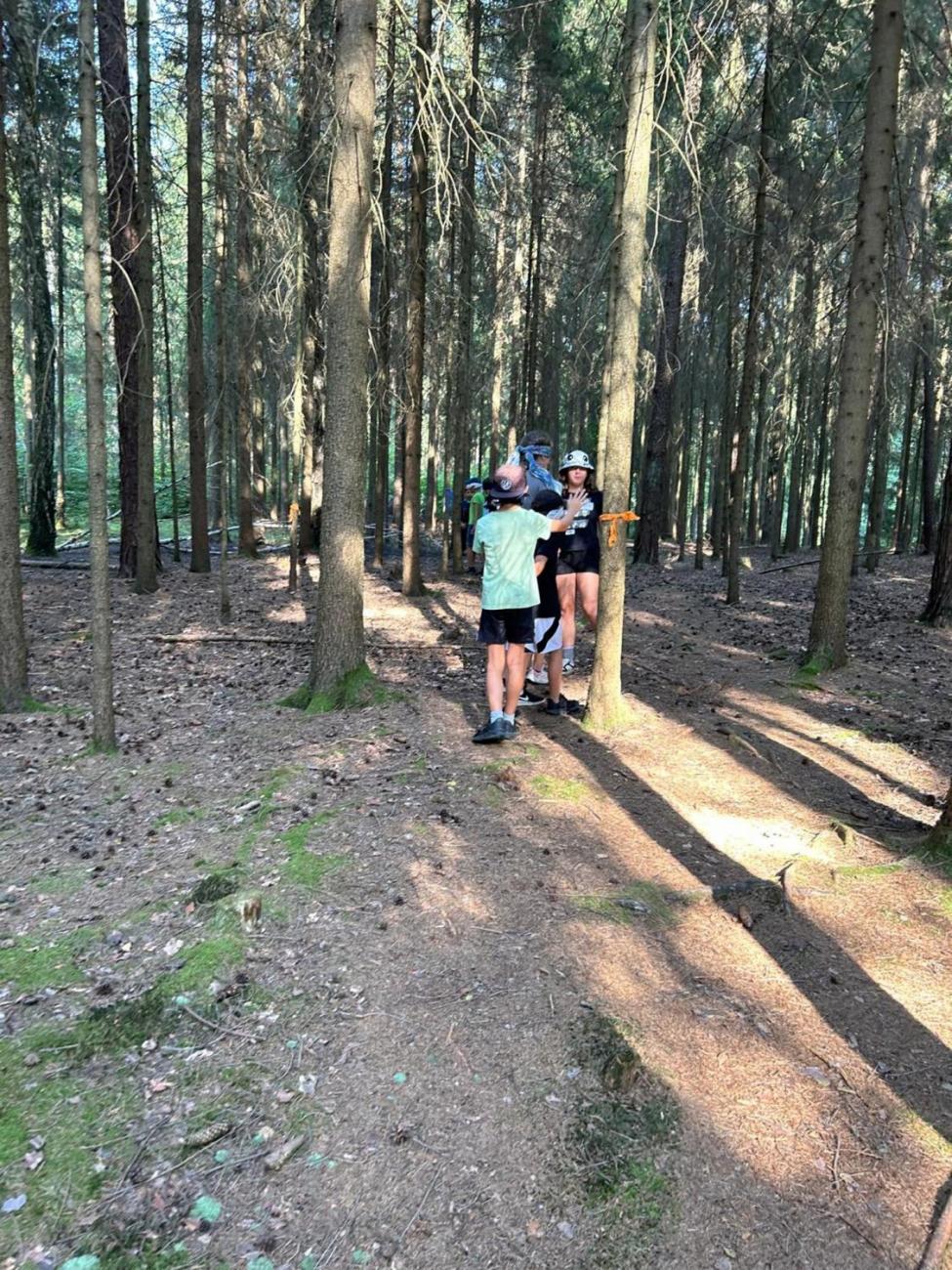 Poznávání a pravidla, 6. ročník