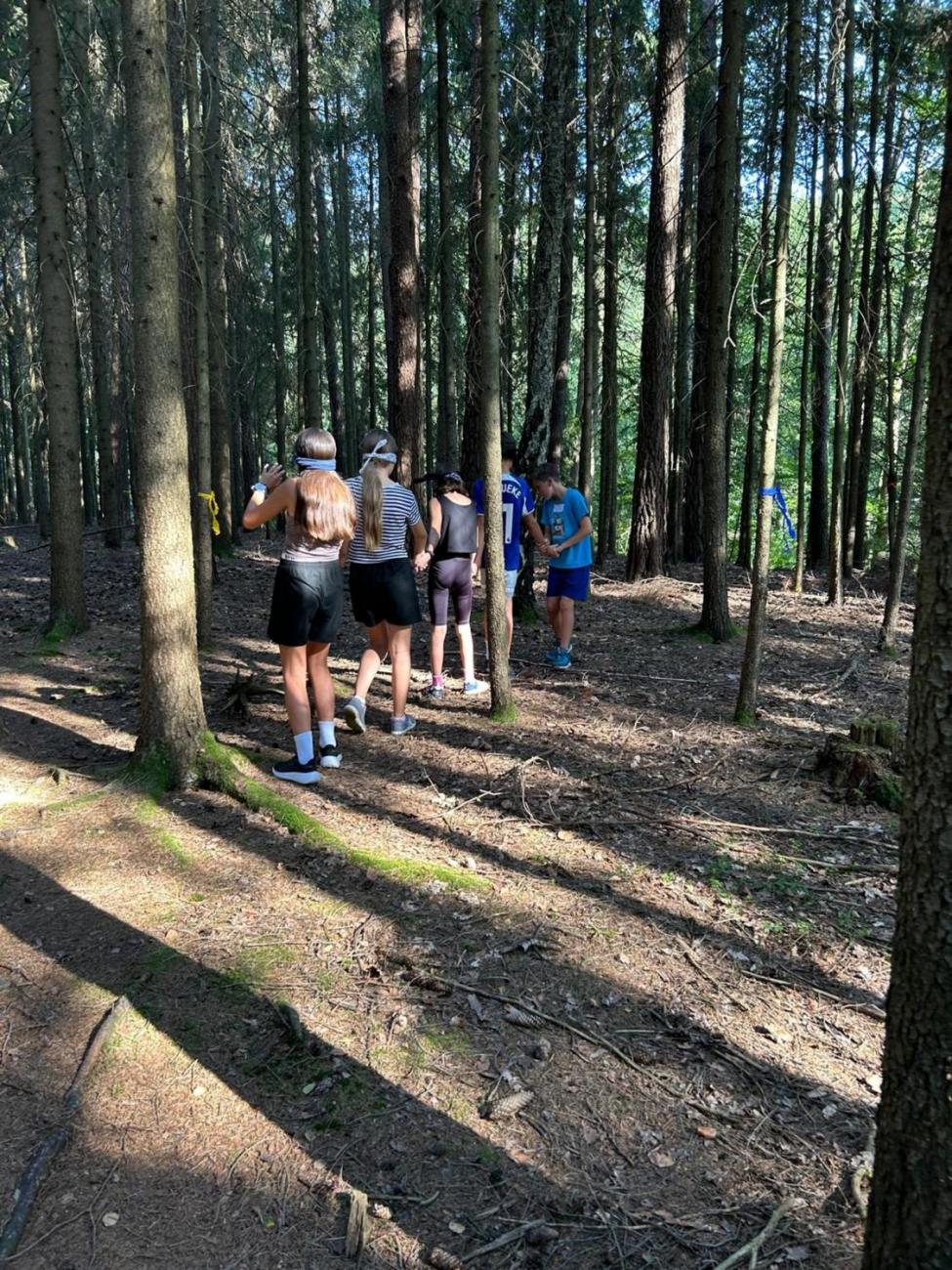 Poznávání a pravidla, 6. ročník