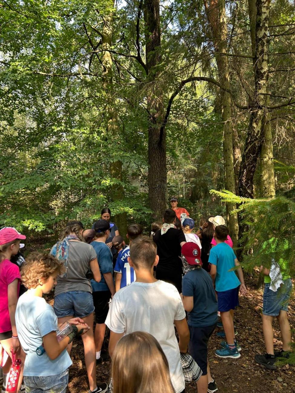 Poznávání a pravidla, 6. ročník