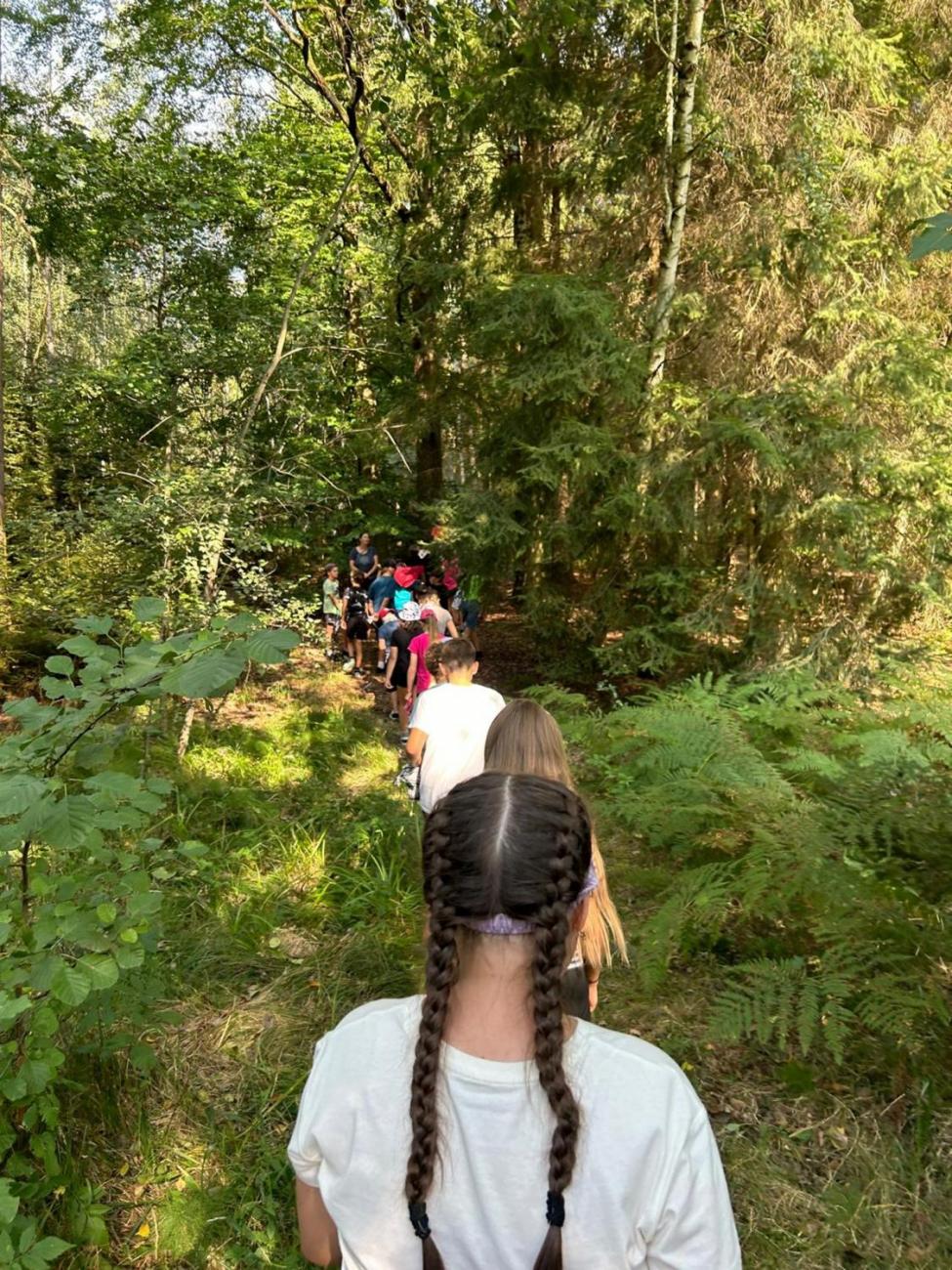 Poznávání a pravidla, 6. ročník