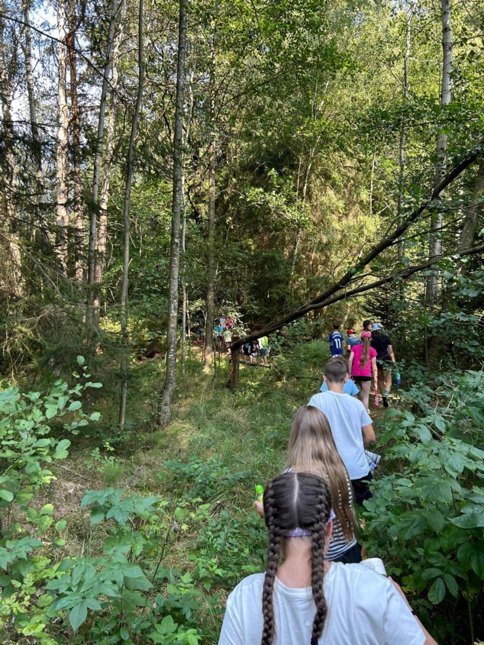 Poznávání a pravidla, 6. ročník