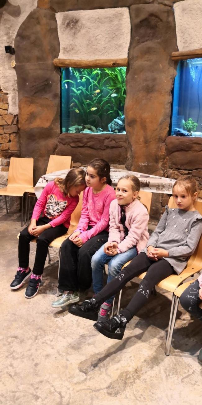 Výukový program ZOO - Mazlíčci  2.A
