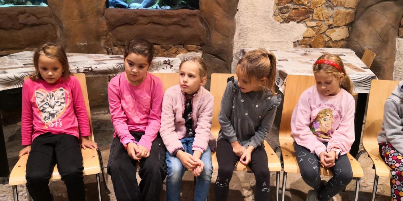 Výukový program ZOO - Mazlíčci  2.A