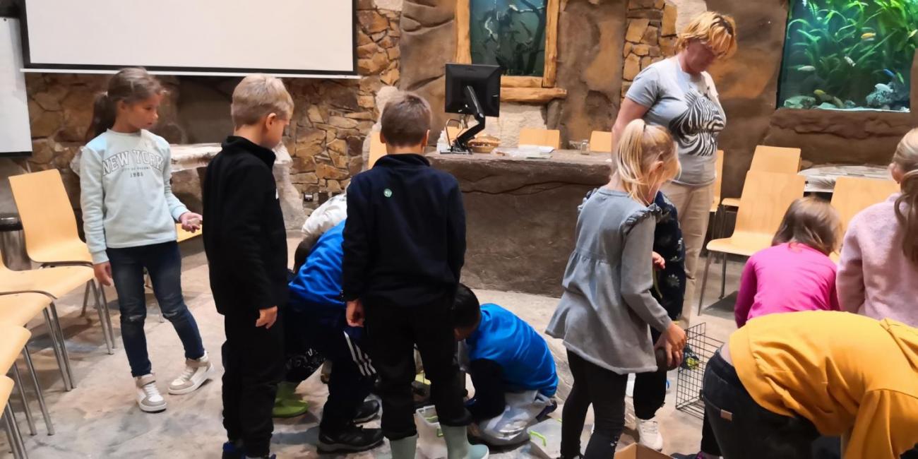 Výukový program ZOO - Mazlíčci  2.A