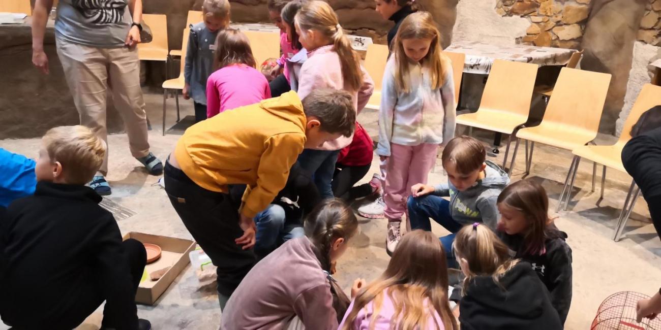 Výukový program ZOO - Mazlíčci  2.A