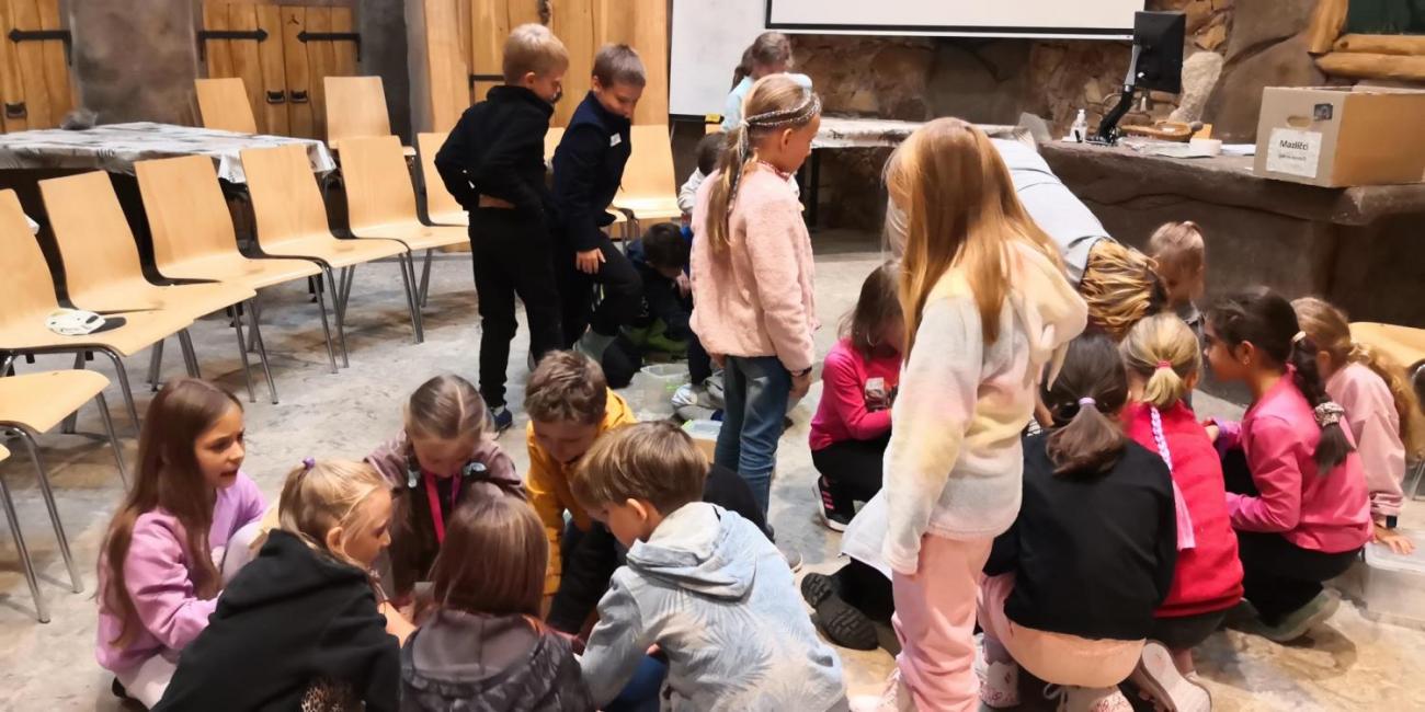 Výukový program ZOO - Mazlíčci  2.A