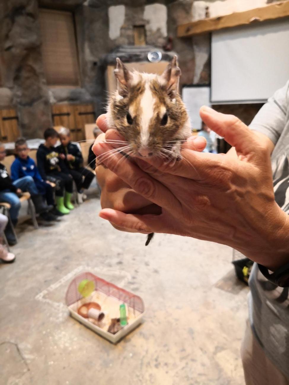 Výukový program ZOO - Mazlíčci  2.A