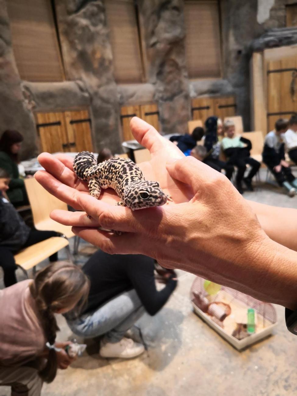 Výukový program ZOO - Mazlíčci  2.A