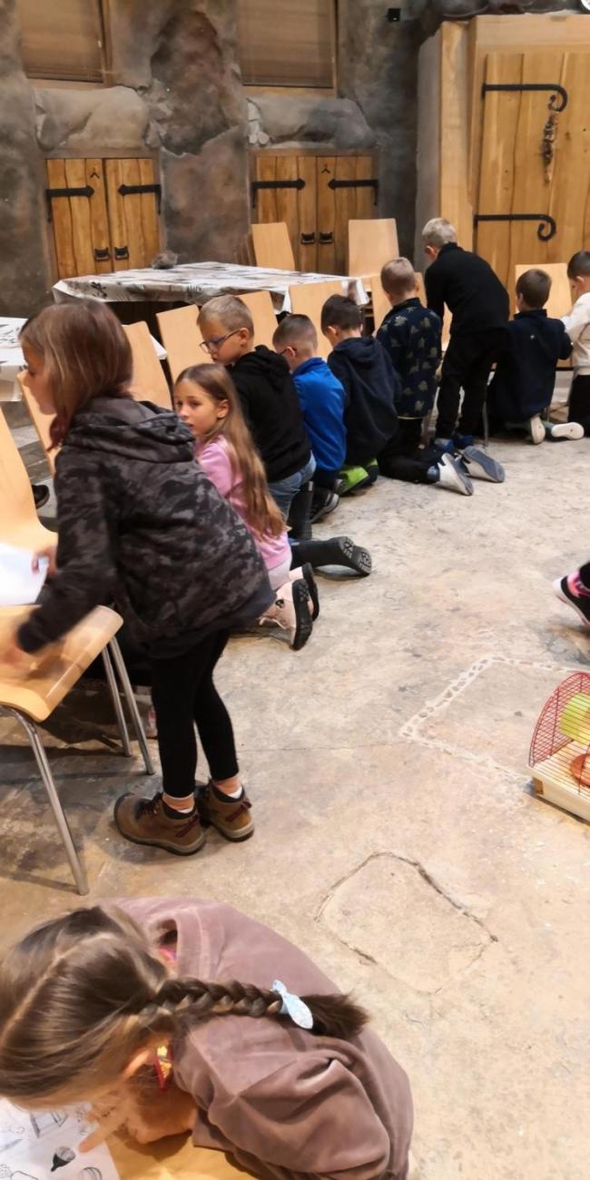 Výukový program ZOO - Mazlíčci  2.A