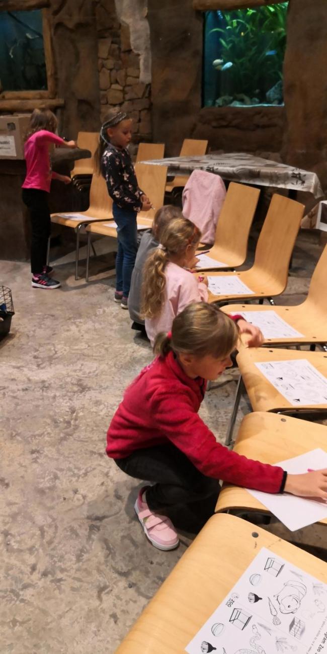 Výukový program ZOO - Mazlíčci  2.A