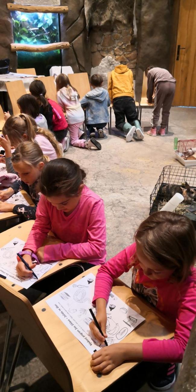 Výukový program ZOO - Mazlíčci  2.A