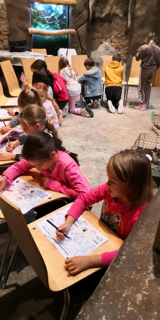 Výukový program ZOO - Mazlíčci  2.A
