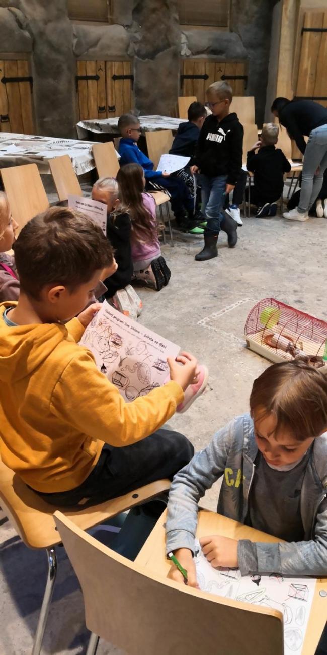 Výukový program ZOO - Mazlíčci  2.A