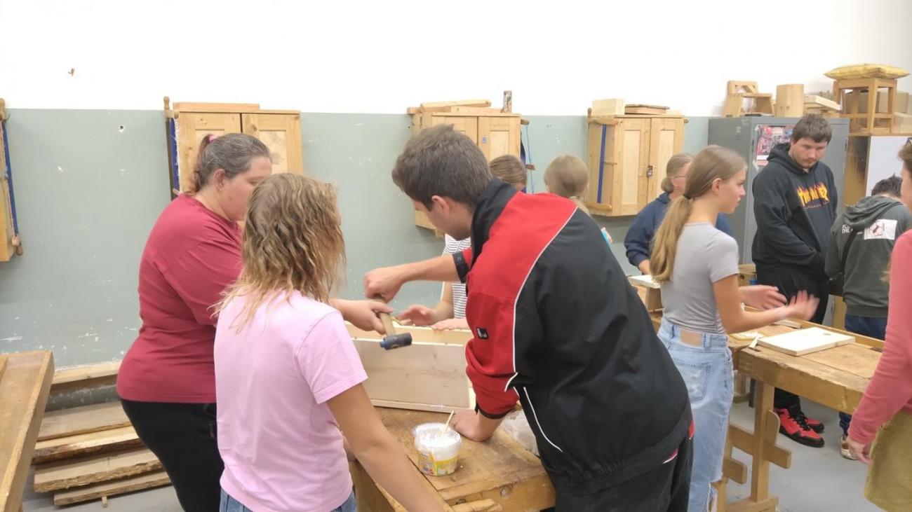 Spolupráce 7.C s DTS Jihlava