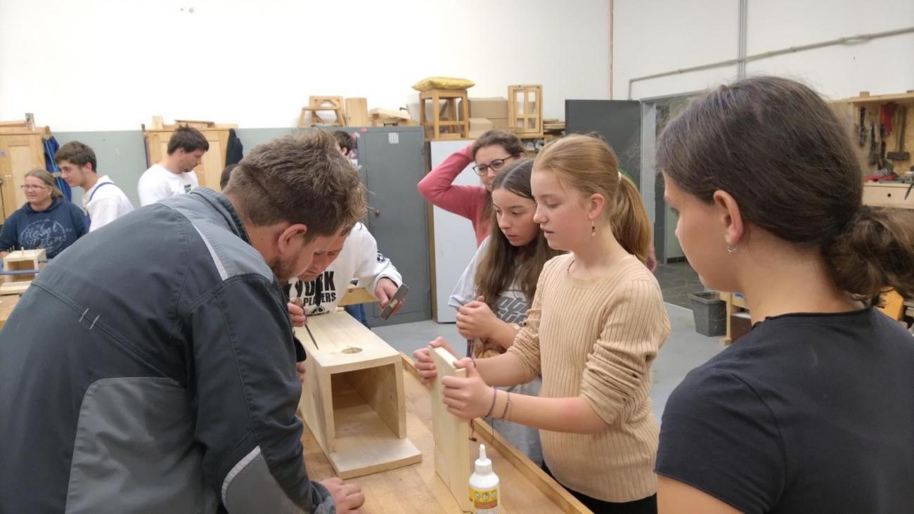 Spolupráce 7.C s DTS Jihlava