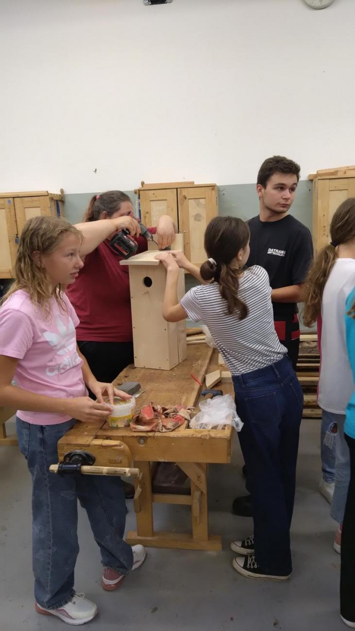 Spolupráce 7.C s DTS Jihlava