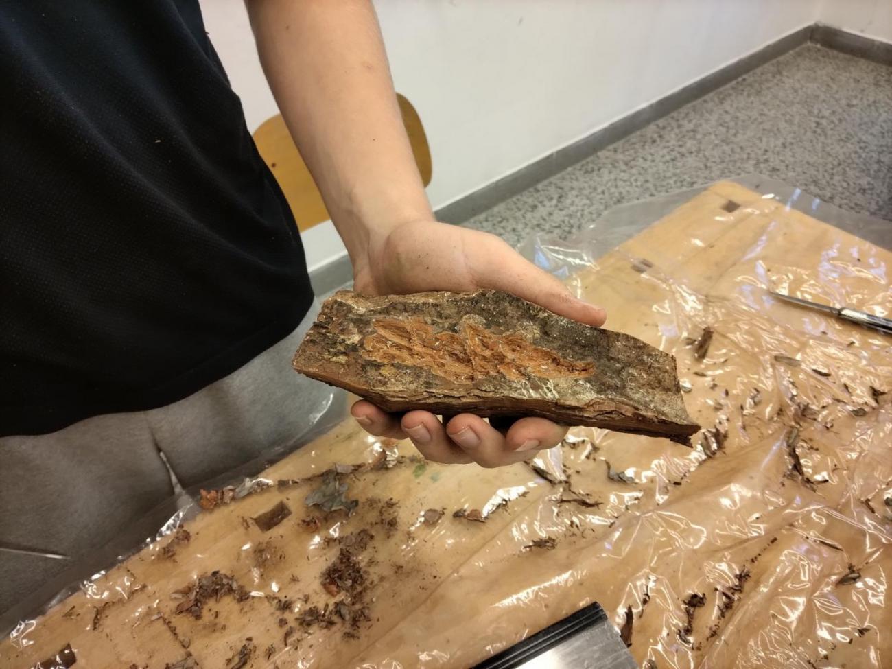 Řežeme, dlabeme, brousíme ...