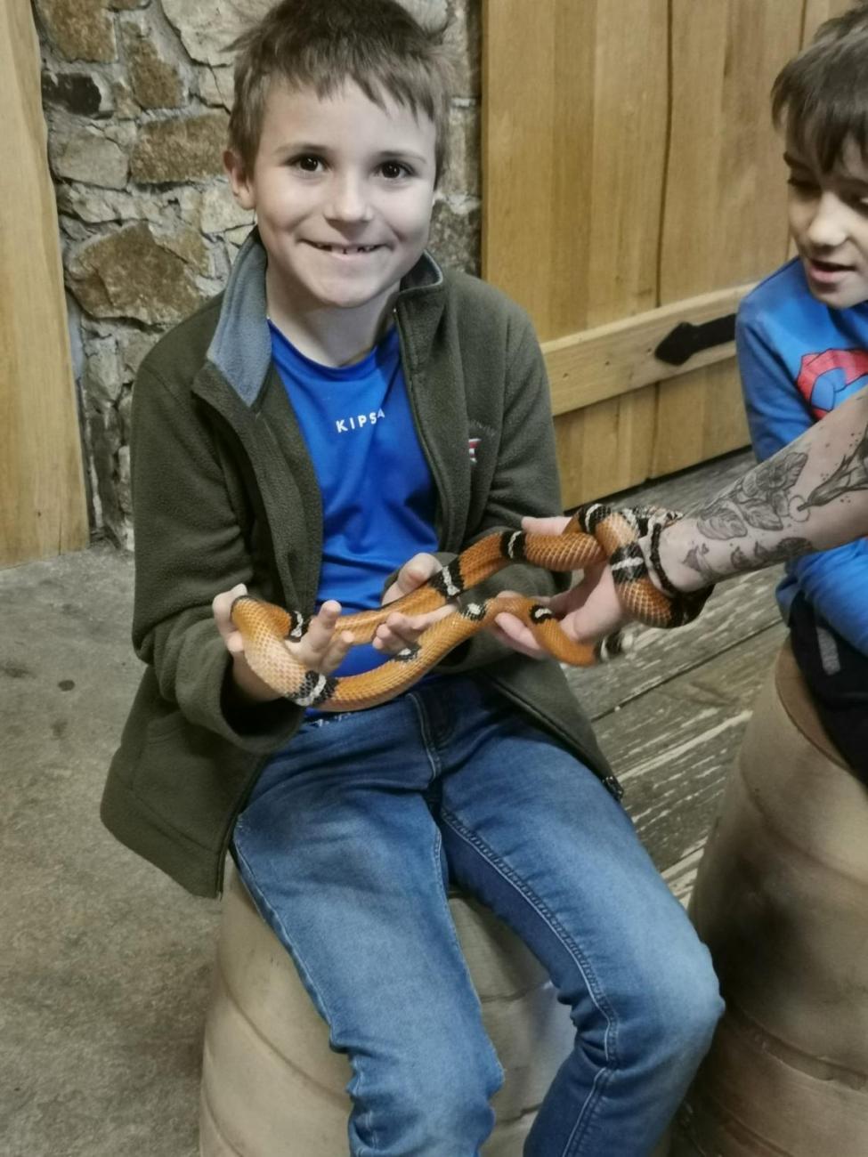 ZOO - Mazlíčci  2.C