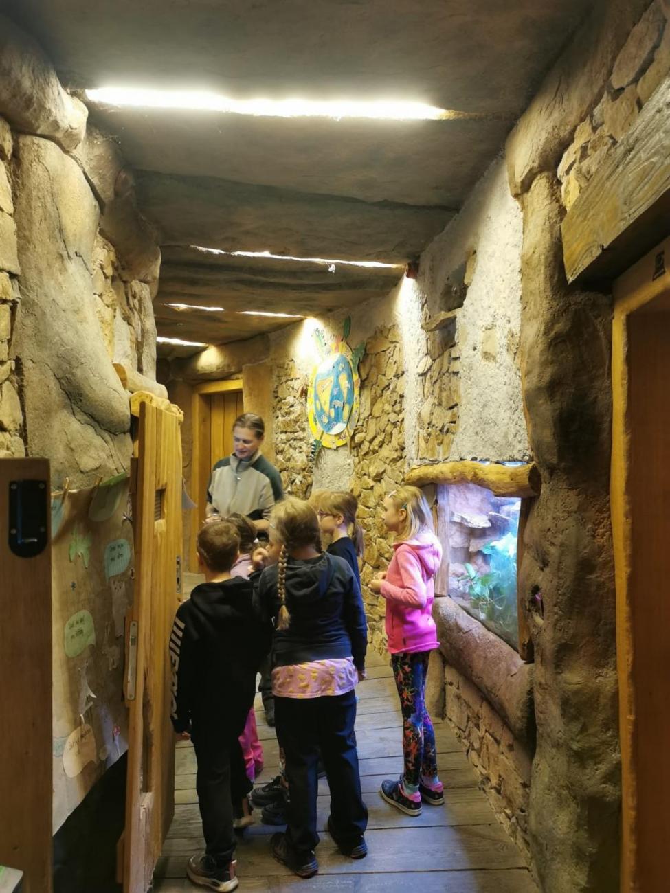 ZOO - Mazlíčci  2.C