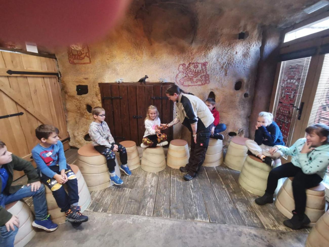 ZOO - Mazlíčci  2.C