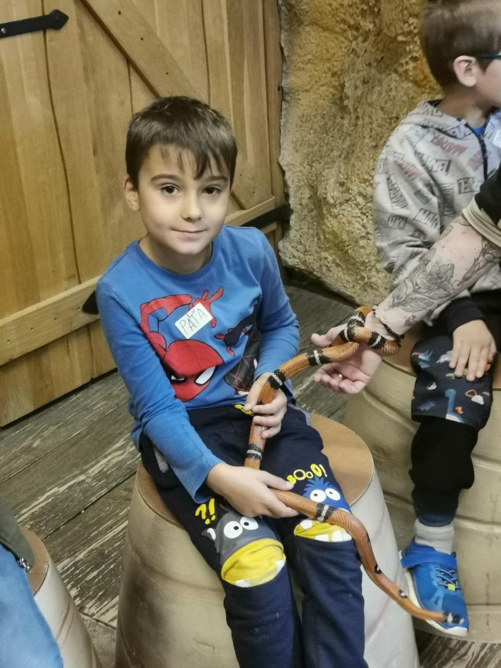 ZOO - Mazlíčci  2.C