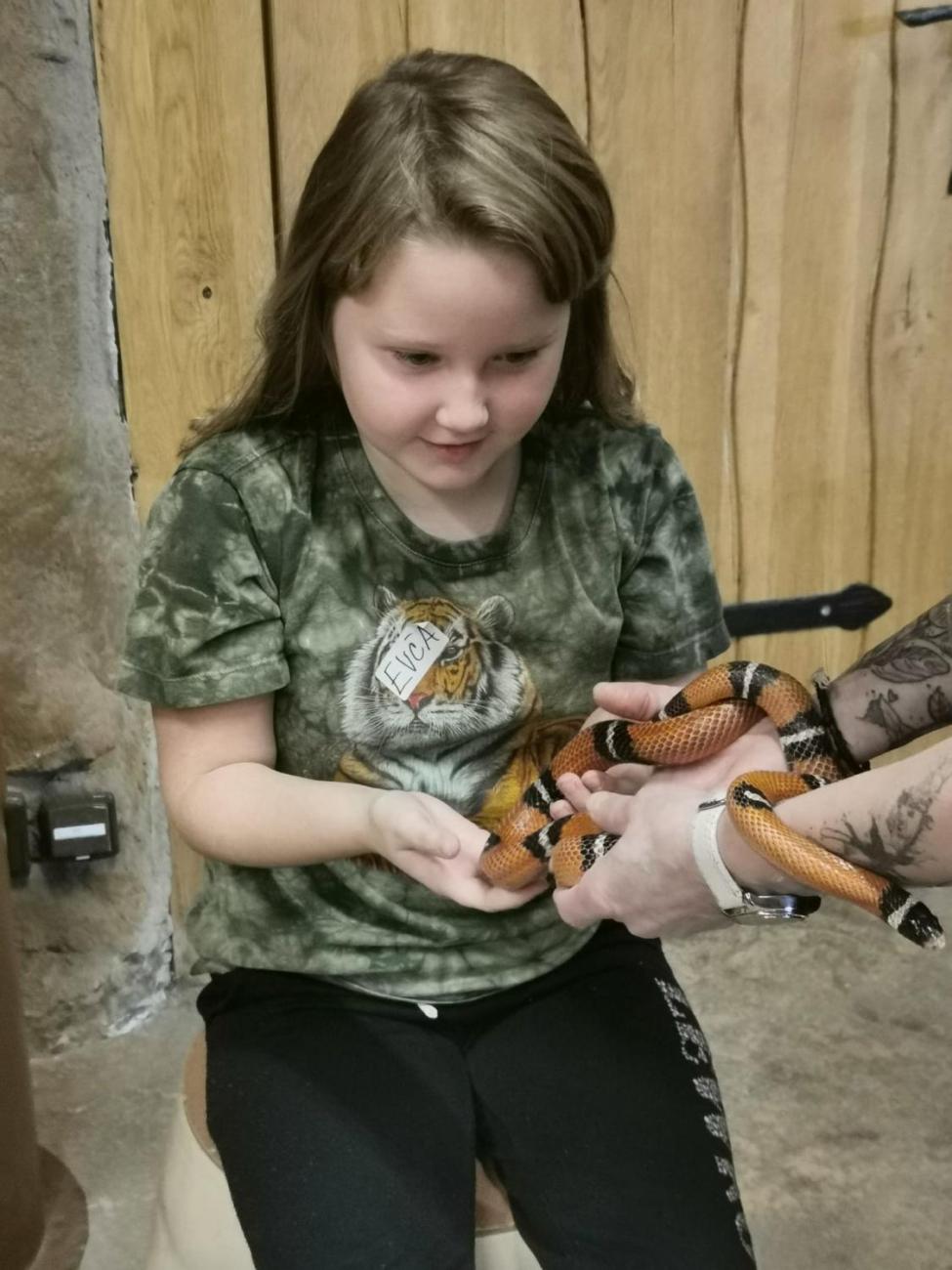 ZOO - Mazlíčci  2.C