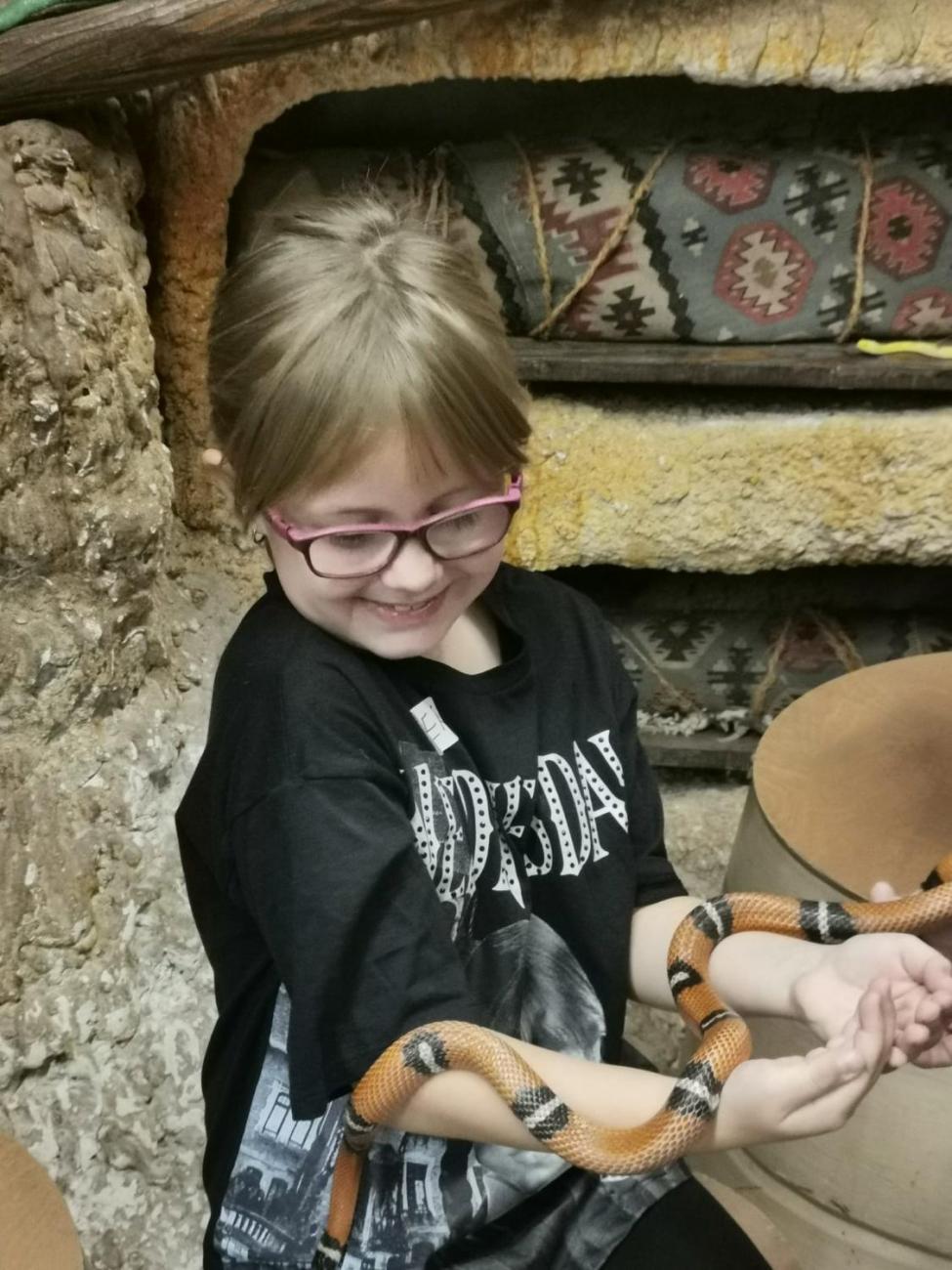 ZOO - Mazlíčci  2.C