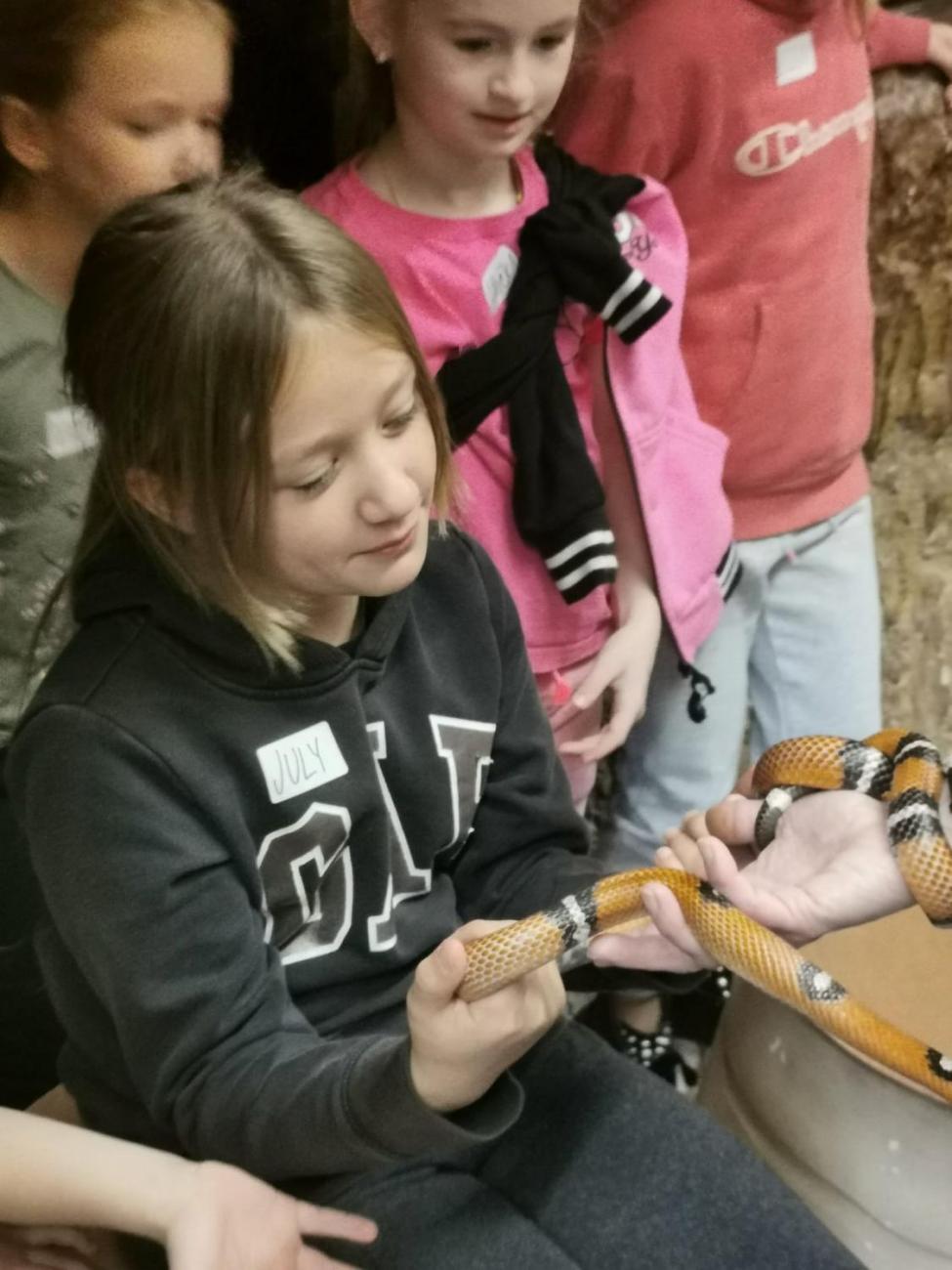 ZOO - Mazlíčci  2.C