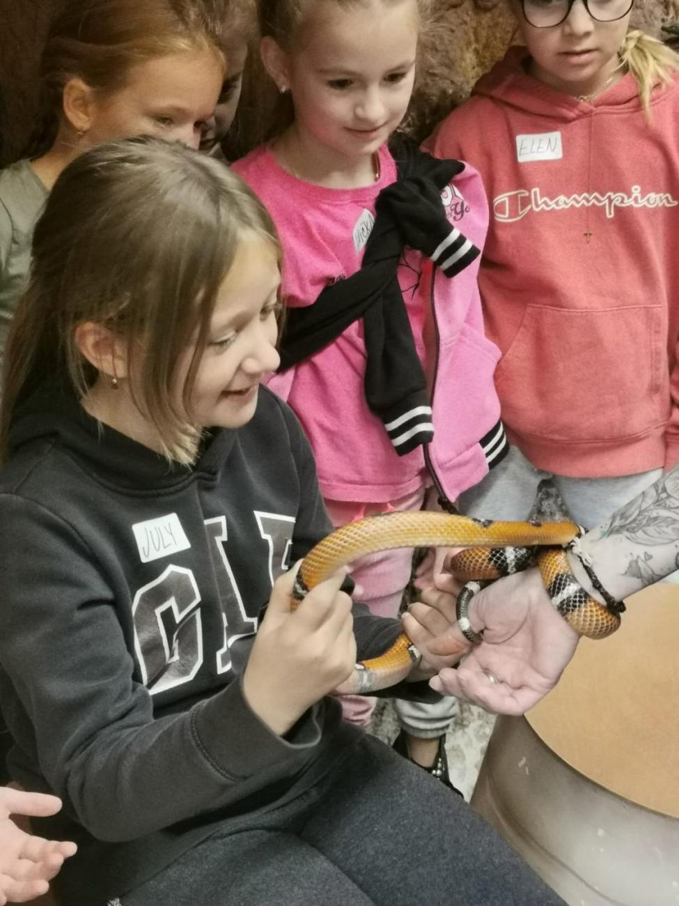 ZOO - Mazlíčci  2.C