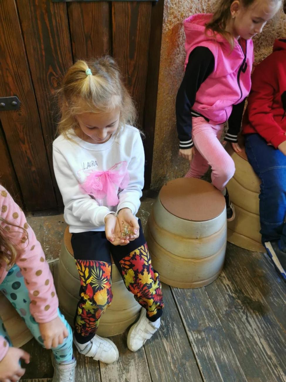 ZOO - Mazlíčci  2.C