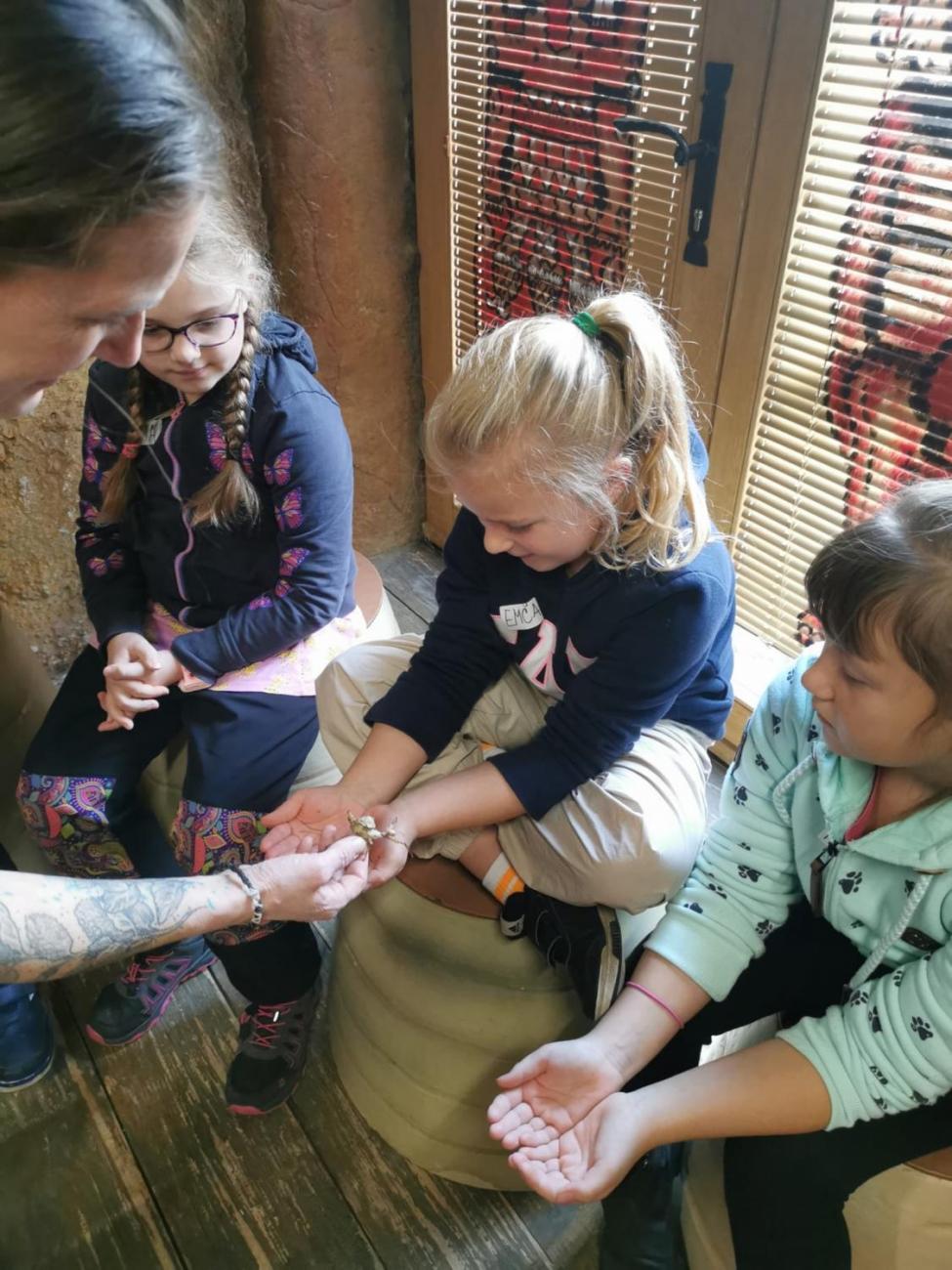 ZOO - Mazlíčci  2.C