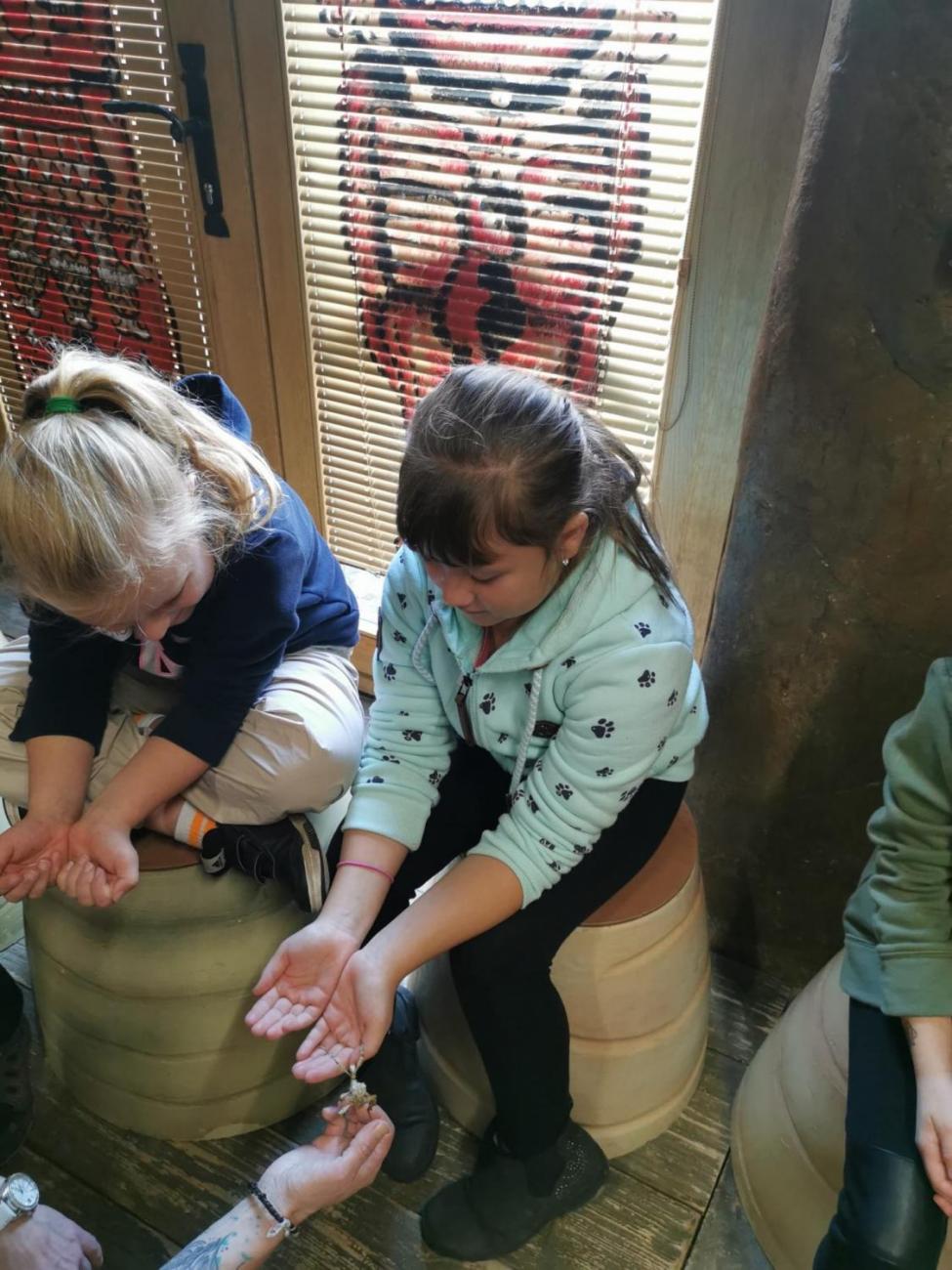 ZOO - Mazlíčci  2.C