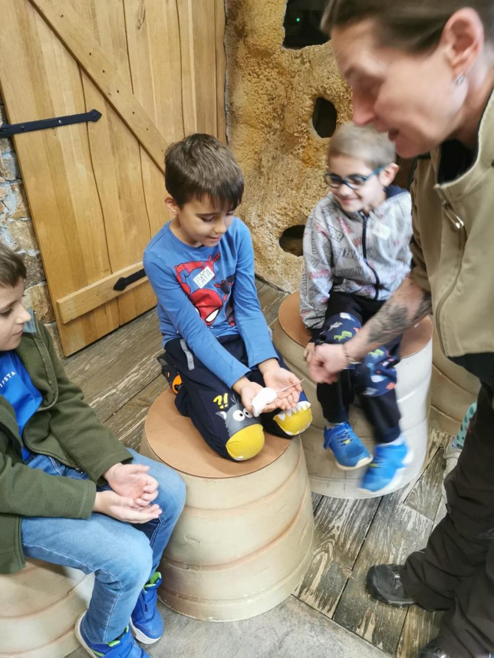 ZOO - Mazlíčci  2.C