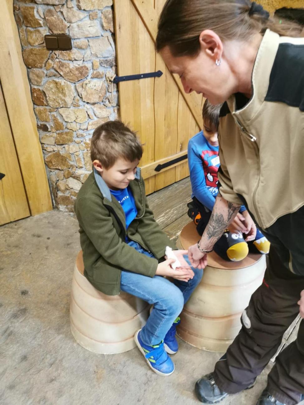 ZOO - Mazlíčci  2.C