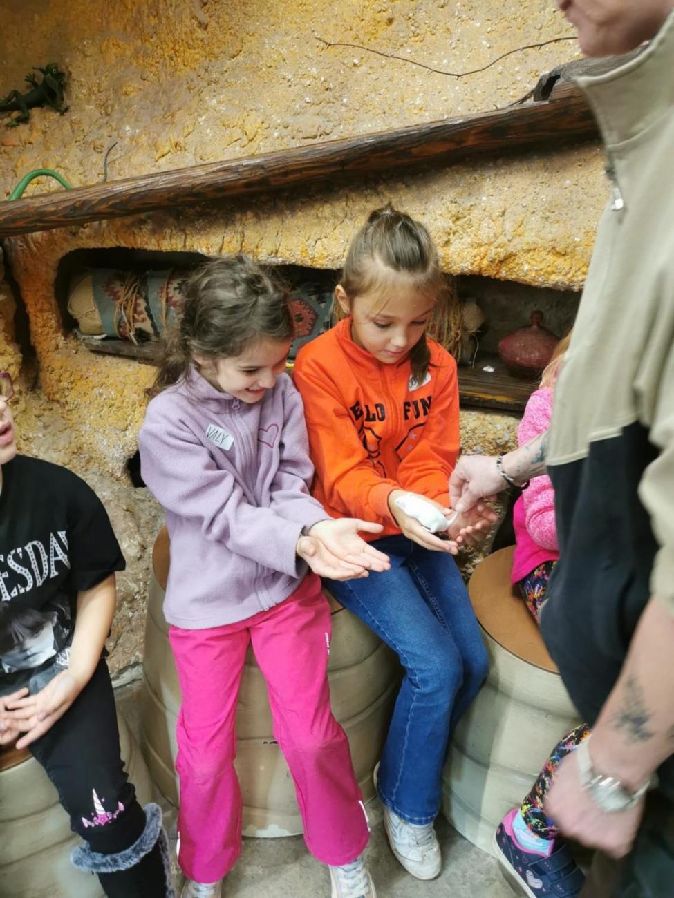 ZOO - Mazlíčci  2.C