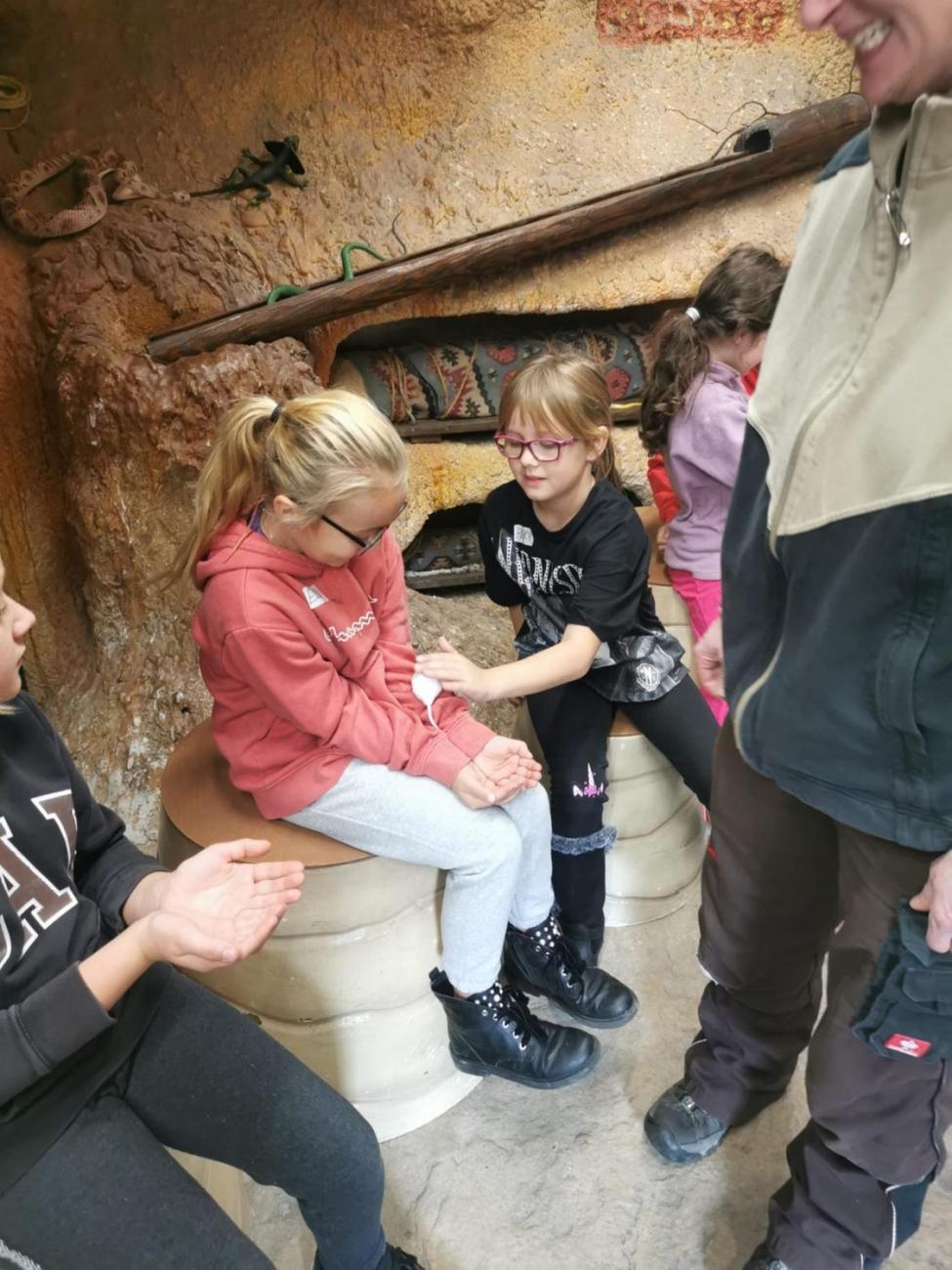 ZOO - Mazlíčci  2.C