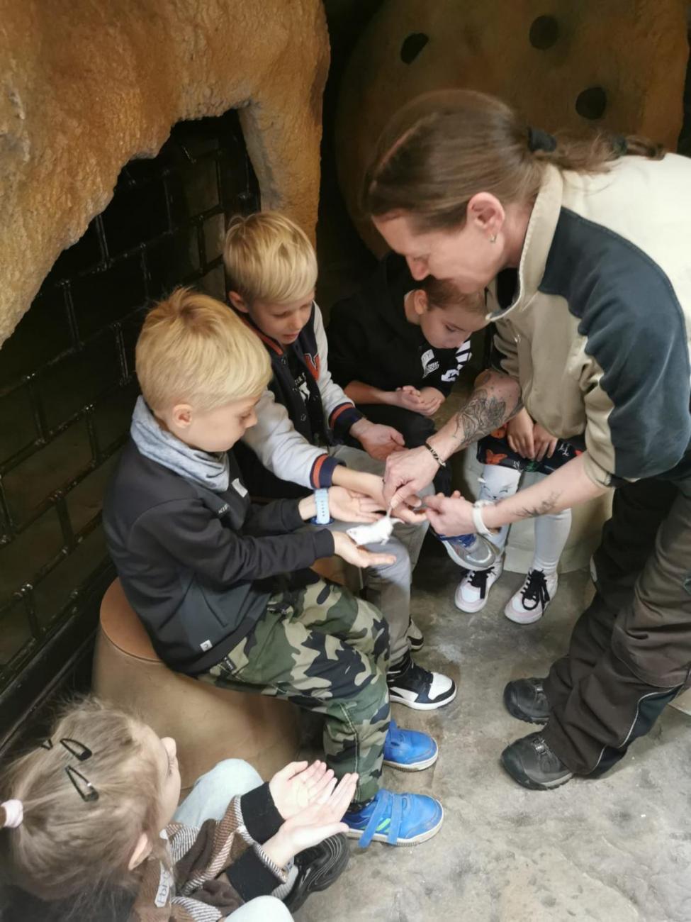 ZOO - Mazlíčci  2.C