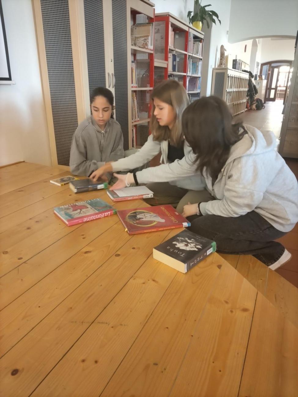 MaFyáČek v knihovně 8. ročník