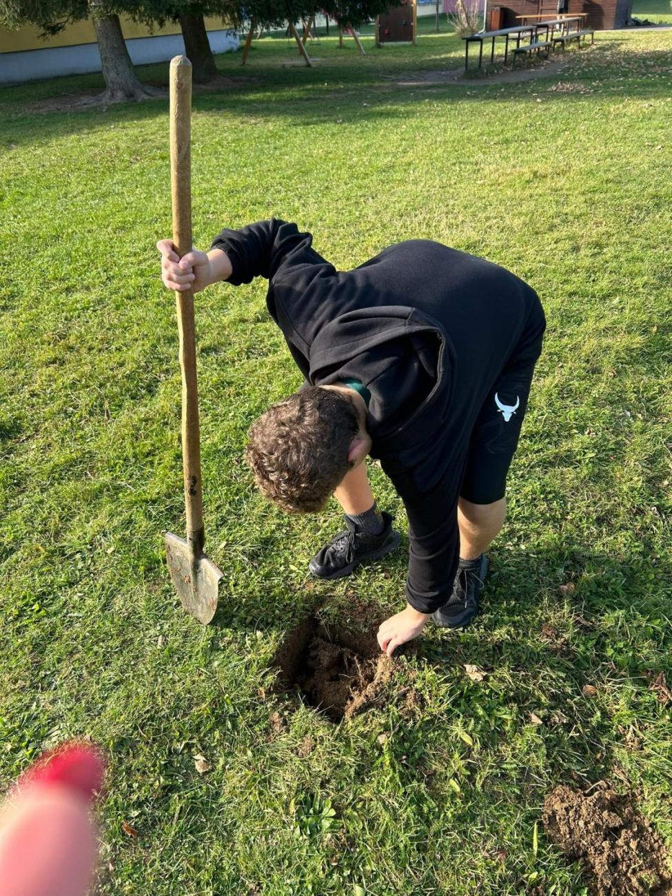 Sázení dubu z Osvětimi