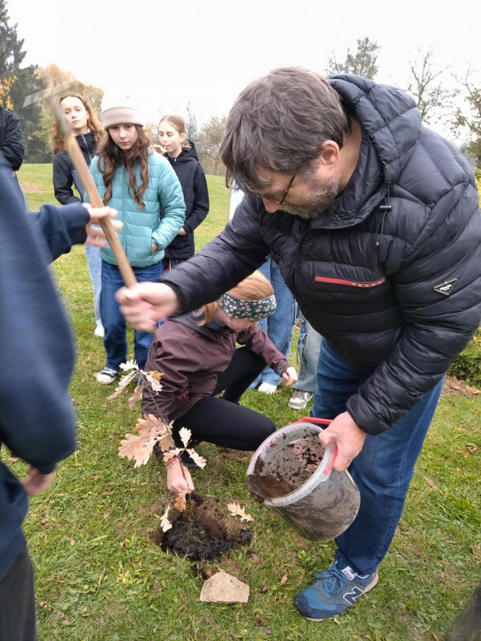 Sázení dubu z Osvětimi