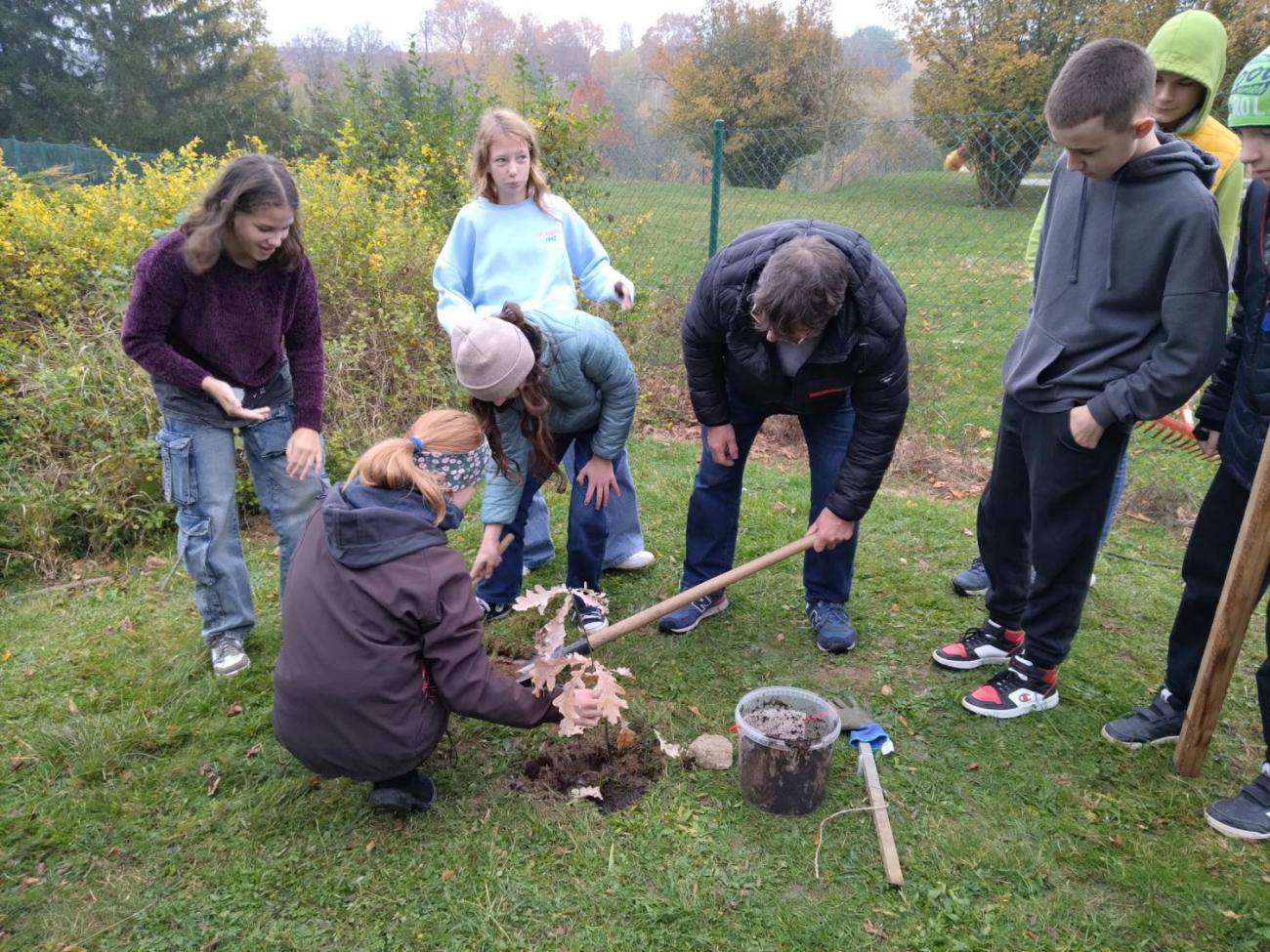 Sázení dubu z Osvětimi