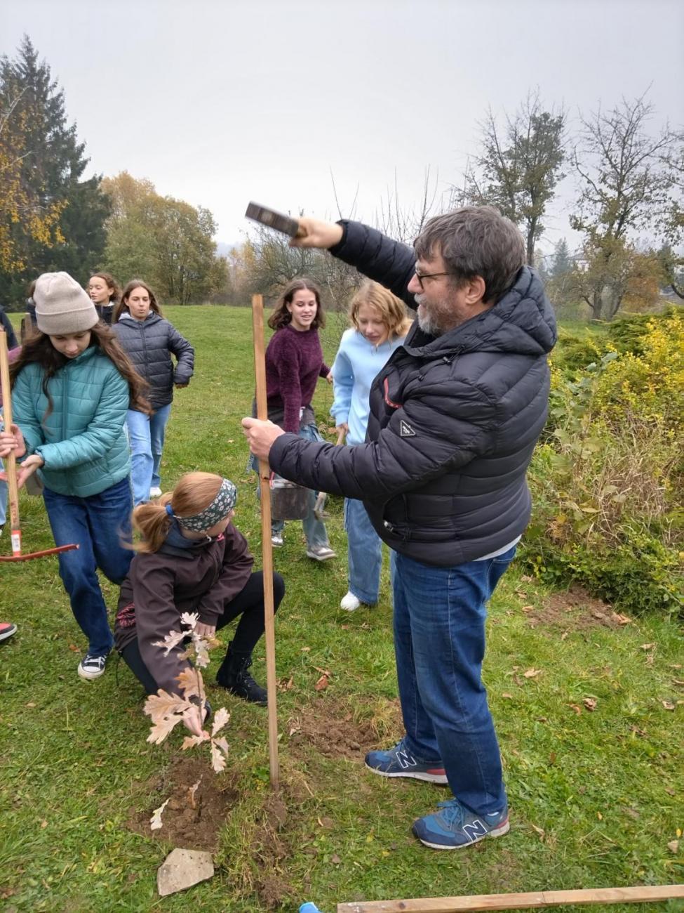 Sázení dubu z Osvětimi